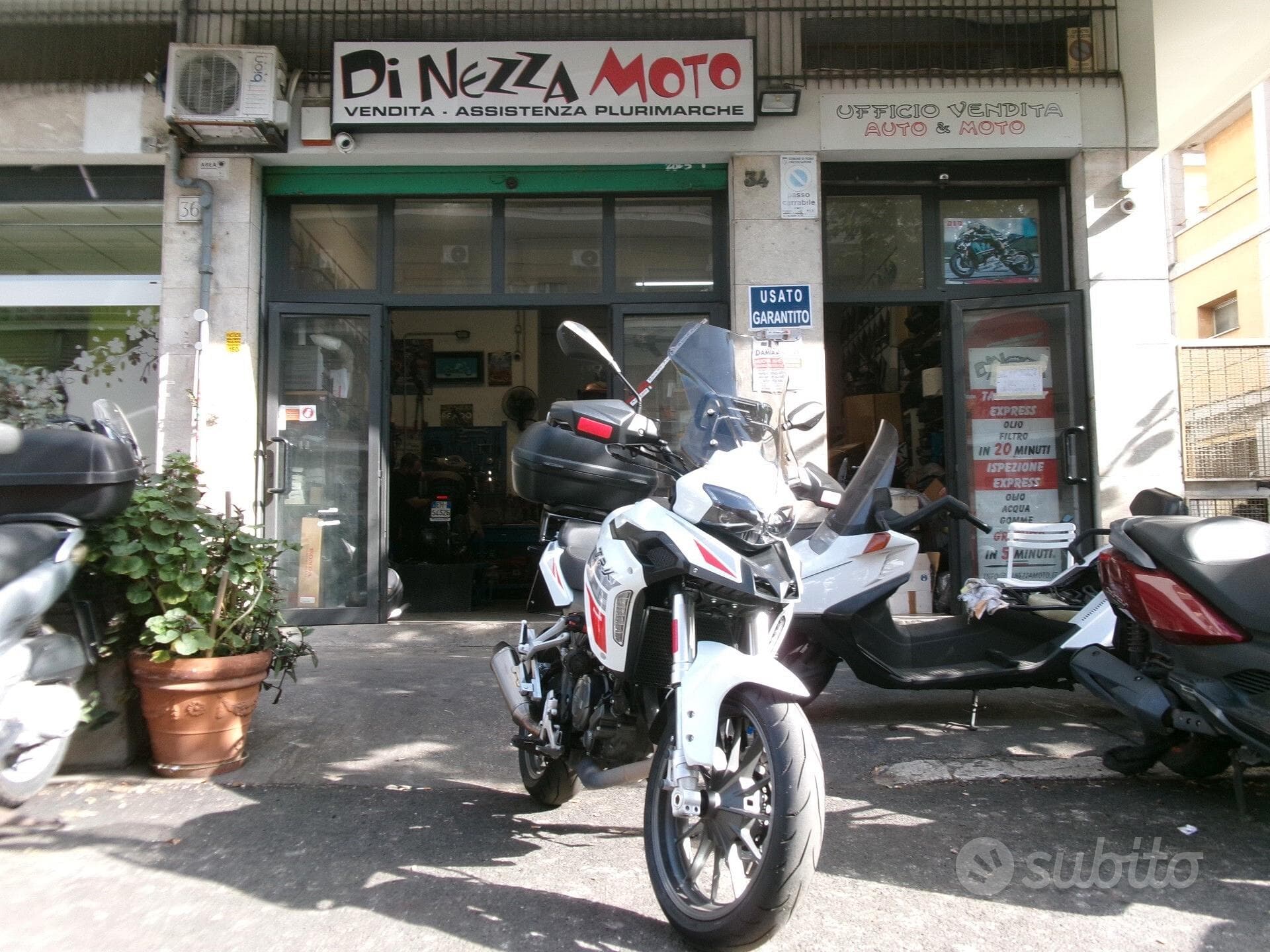 Benelli TRK 250