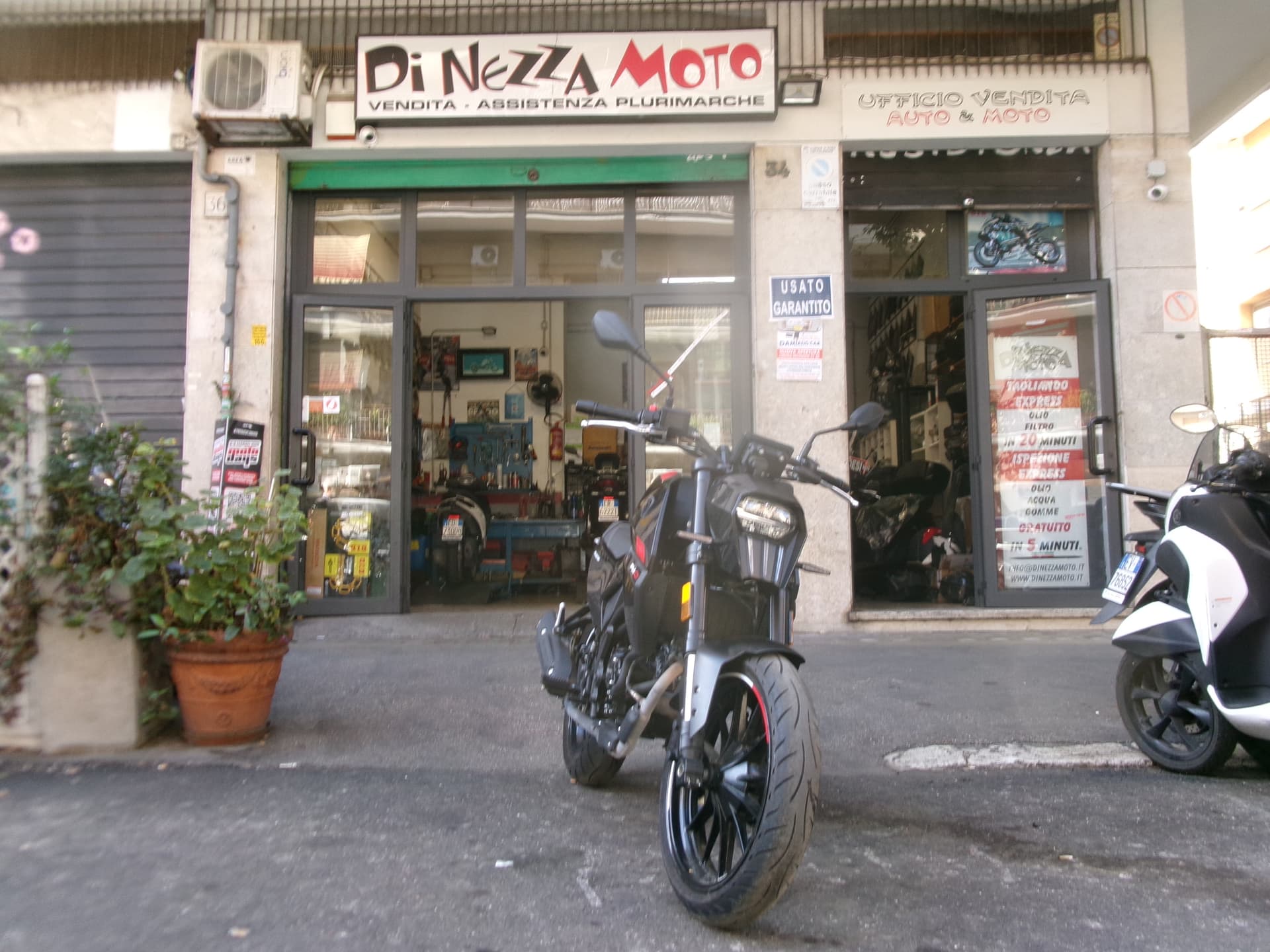 Peugeot PM 01 125 ROADSTAR 2025 moto usato a Roma - foto 1 di 8